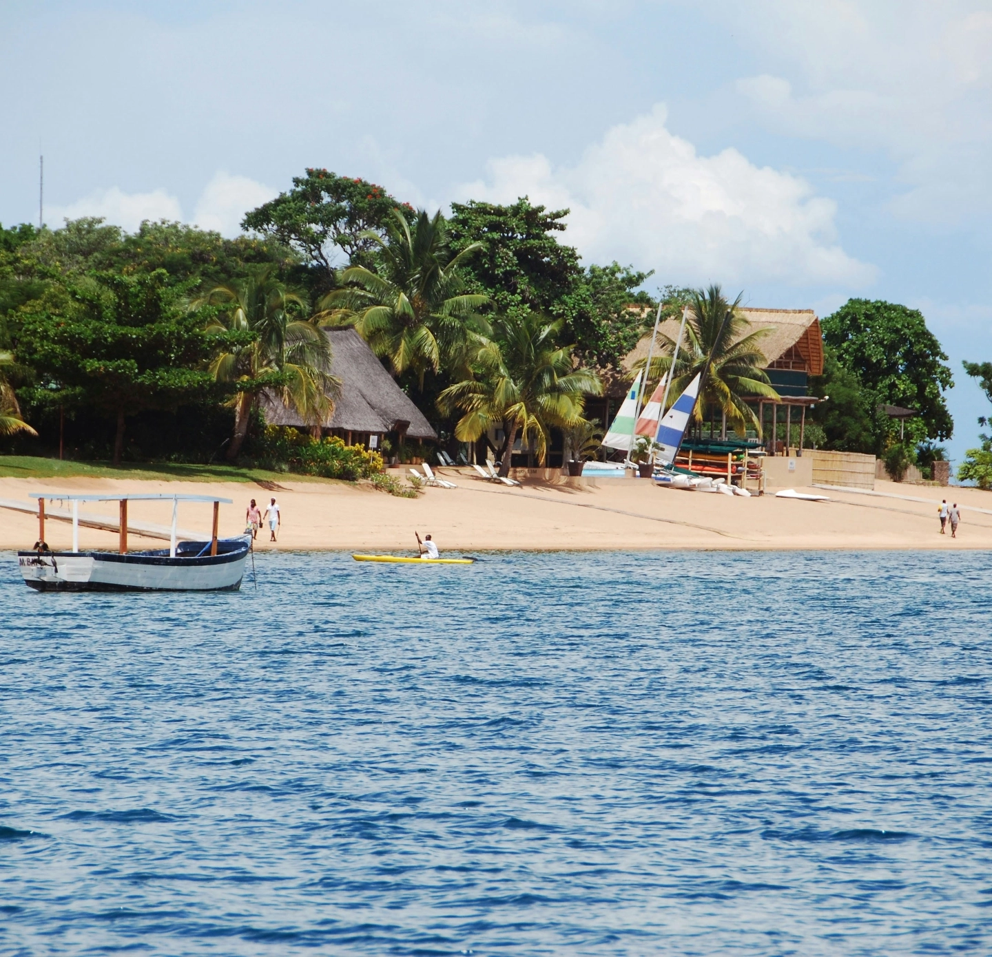 Plage avec palmiers en Afrique Australe
