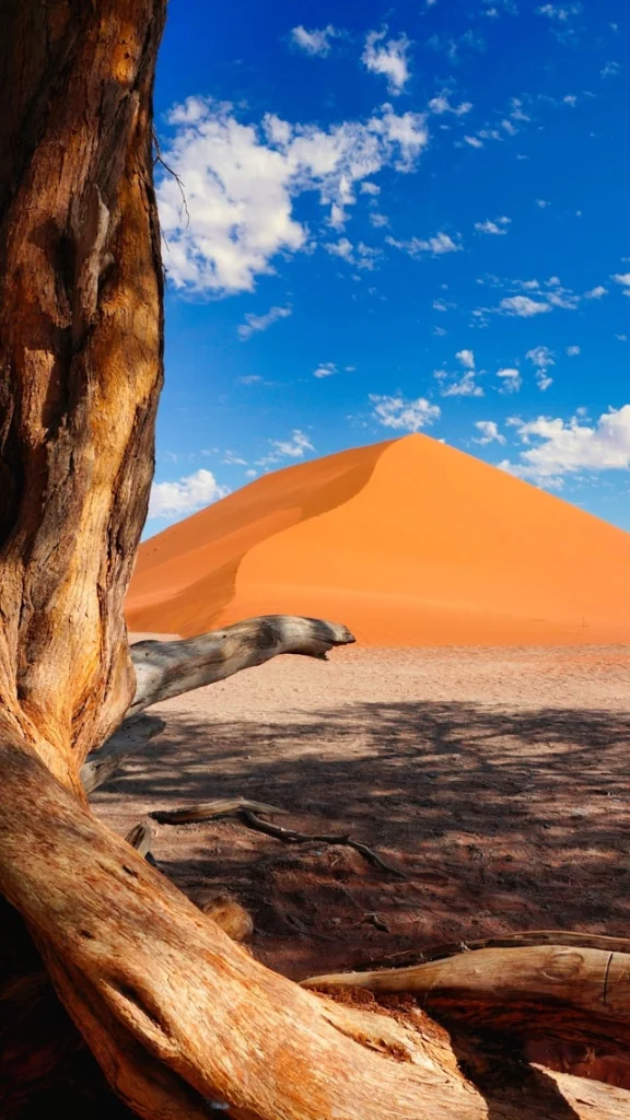 Mancala Travel thanks to sean-robertson-5ftxFgXLtkI-unsplash
