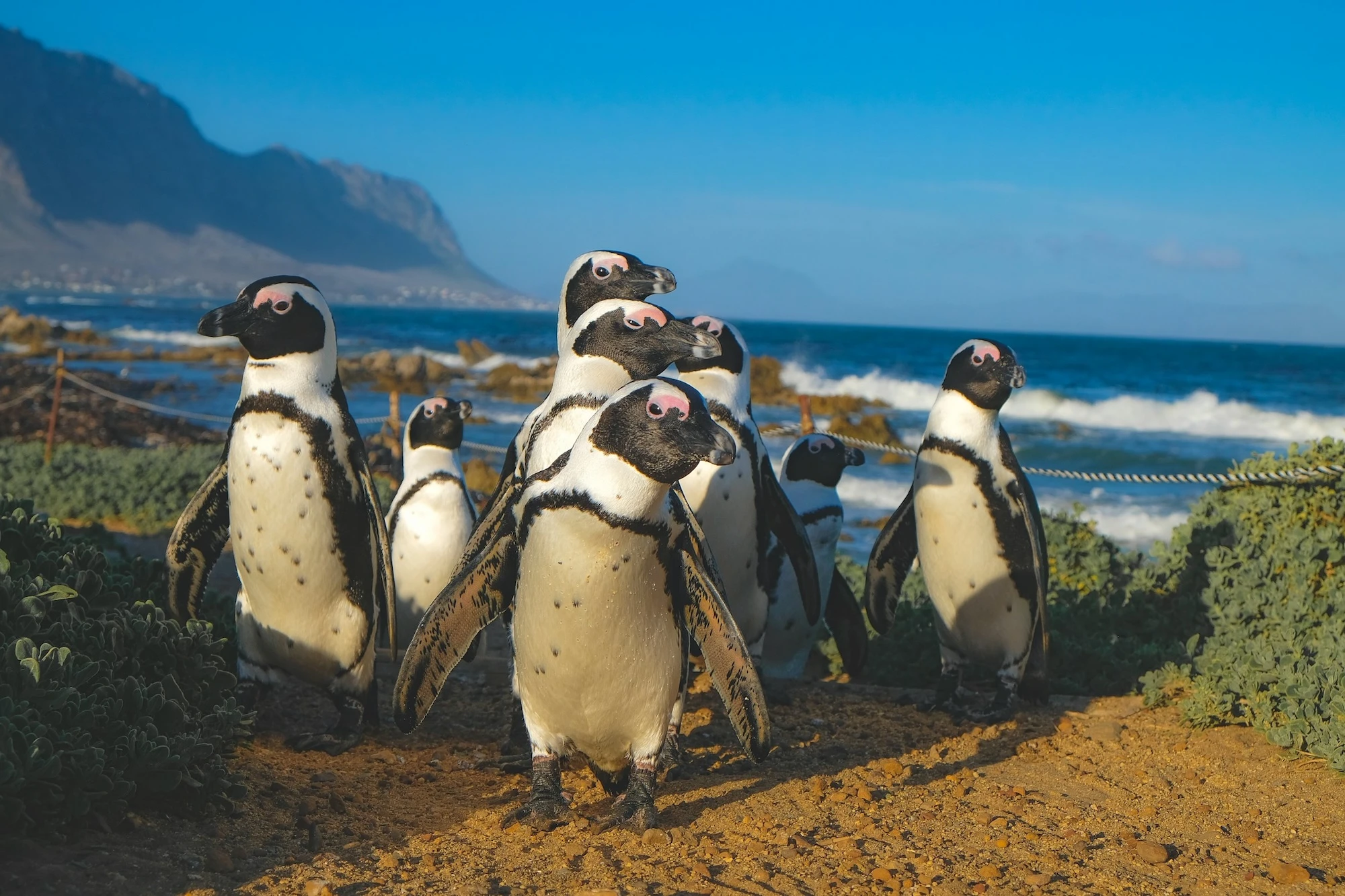 Mancala Travel - Blog - thanks to unsplash.com/it/@hcdigital