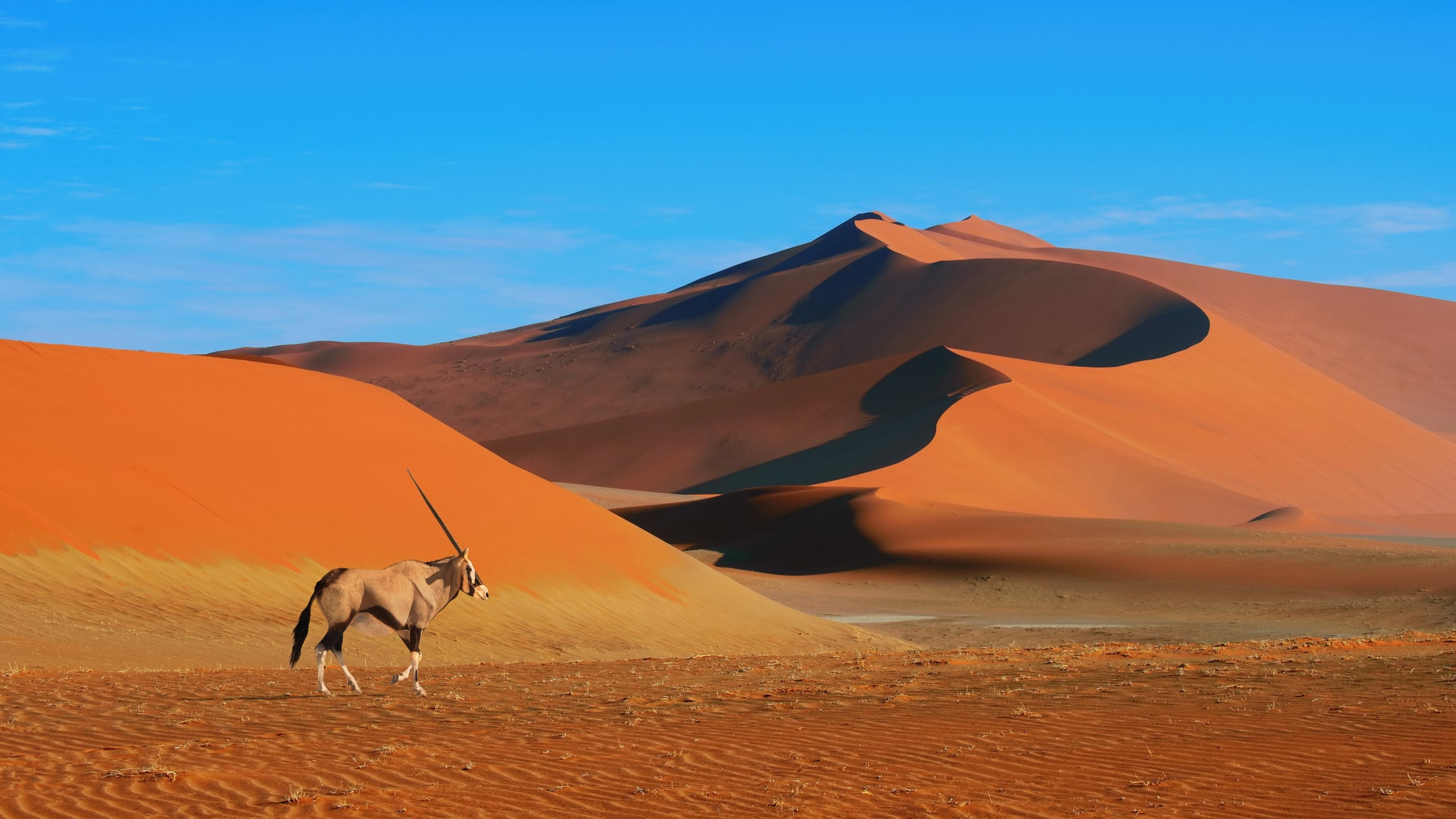 Namibie Thanks to 