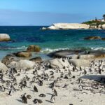 Afrique du Sud en famille