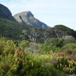 Afrique du Sud en famille