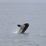 Partir avec des ados en Afrique du Sud